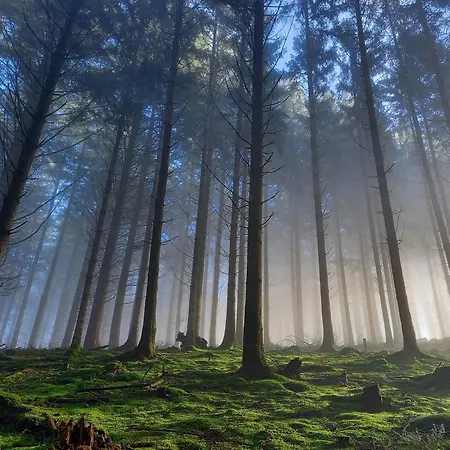 Maison D Hôtes Aux Légendes D Ardenne Carlsbourg