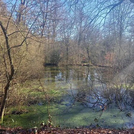Maison D Hôtes Aux Légendes D Ardenne 3* Carlsbourg