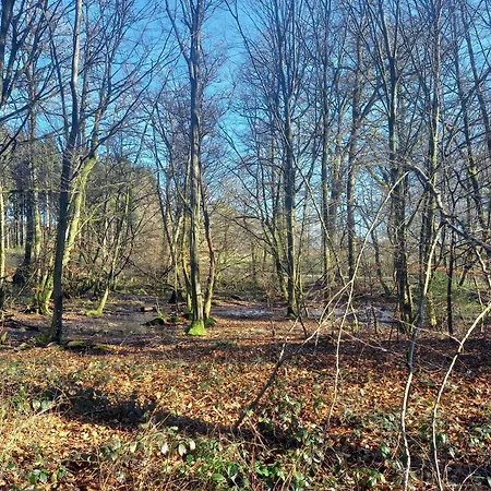Affittacamere Maison D Hôtes Aux Légendes D Ardenne
