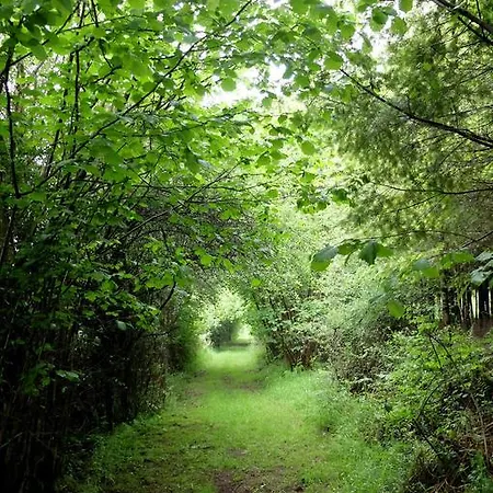 Affittacamere Maison D Hôtes Aux Légendes D Ardenne 3*